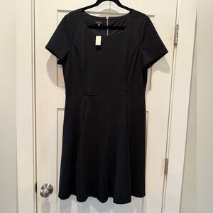 Talbots Black Fit and Flare Textured Professional Dress Size 16 NWT
